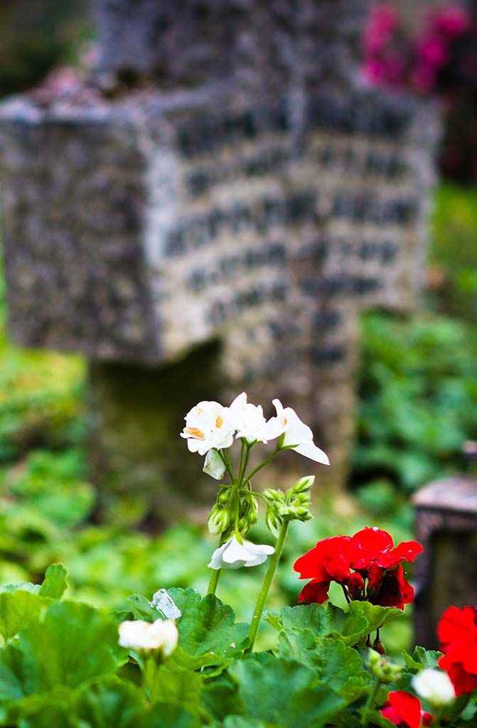 Herzen